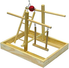 Gioco Cocoriti Palestra