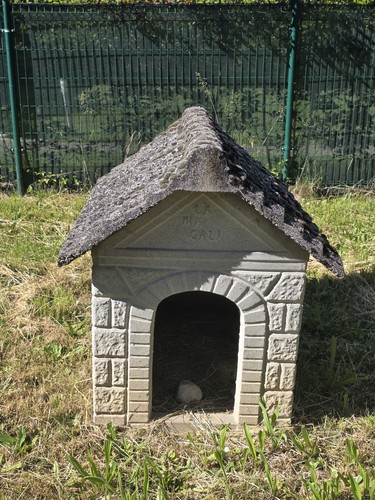 Cuccia per cane - per,