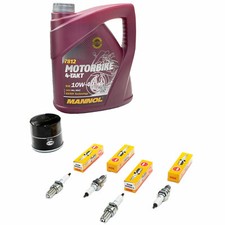 Öl Inspektion Set 4L für