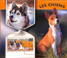 A7036 - TOGO, Errore, 2019, MISPERF FOGLIO RICORDO: Cani, Siberian Husky, Carlin