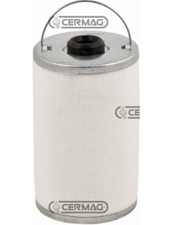 Filtro nafta per motore