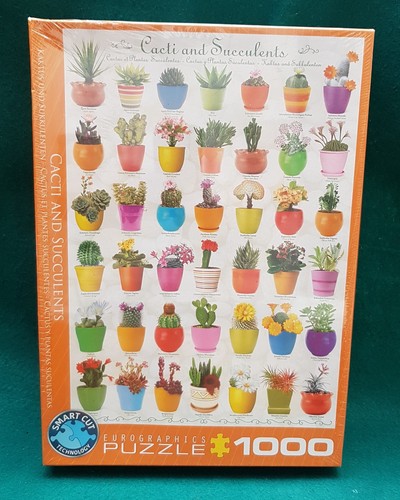 Eurographics puzzle cactus - eurographics,