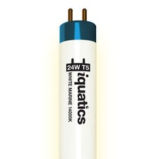 Lampadina fluorescente