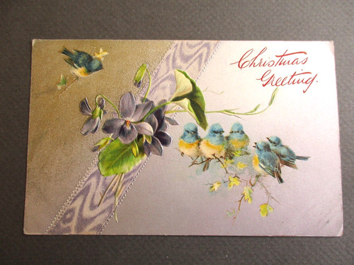 Christmas postcard blue tit - postcard,