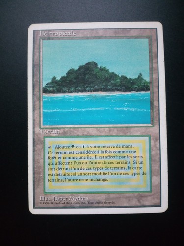 Mtg fwb french tropical - french,