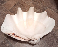 Gigante 22" per 15" originale
