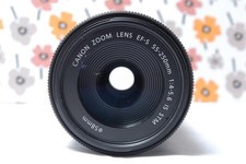 Canon EF-S 55-250 mm IS STM