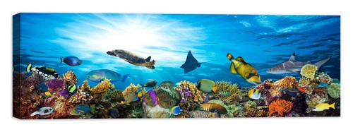 Acquario quadro stampa su - ,