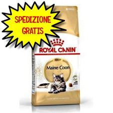 ROYAL CANIN GATTO ADULTO MAINE COON 2 KG