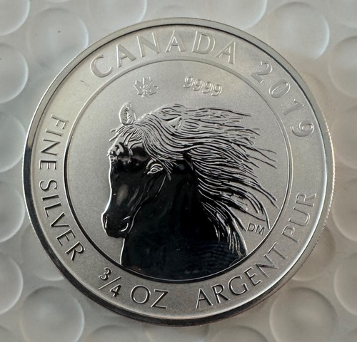2019 canada wild horse 3 - $2,