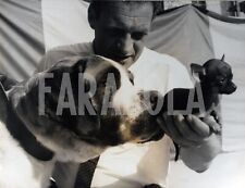 Foto Vintage Animali, Parigi, San Bernardo e cucciolo anni 60, stampa 24x18 cm