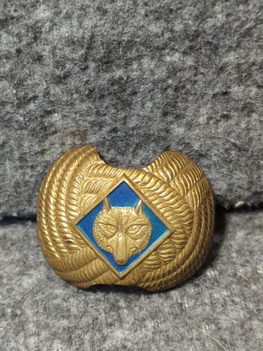 Sciarpa vintage cub scout boy - cub,