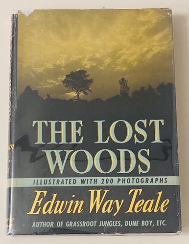The lost woods - woods, edwin