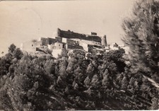 NG6233 - DELICETO FOGGIA - VEDUTA PINETA DEL CASTELLO VIAGGIATA 1957