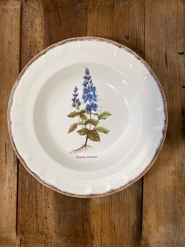 Set piatti zuppa botanici - piatti, da