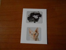 FIGURINA TENERI CUCCIOLI N. 4 - ED.PANINI 2009 - CS.33