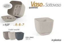 VASO PIANTE GRASSE FIORI SEMI