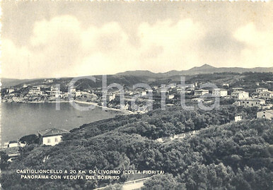 1950 rosignano marittimo - 1950, (li)