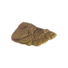 EXOTERRA Turtle Banks Isola