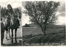 1956 TEMPIO PAUSANIA Terra avvincente che non si dimentica più Sassari Cartolina