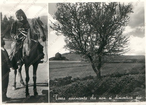 1956 tempio pausania - 1956,