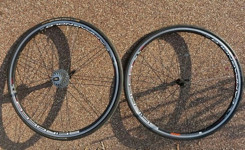 Ruota completa campagnolo - ruota,