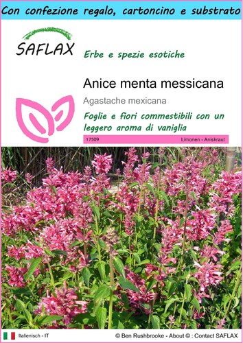 Saflax confezione regalo - saflax,