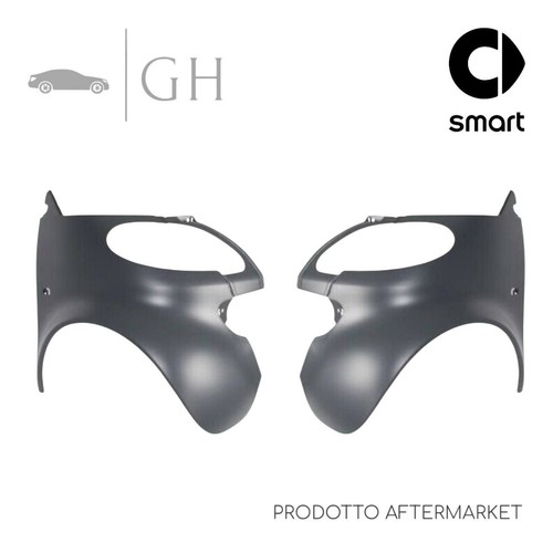 Set coppia parafanghi ant - set,