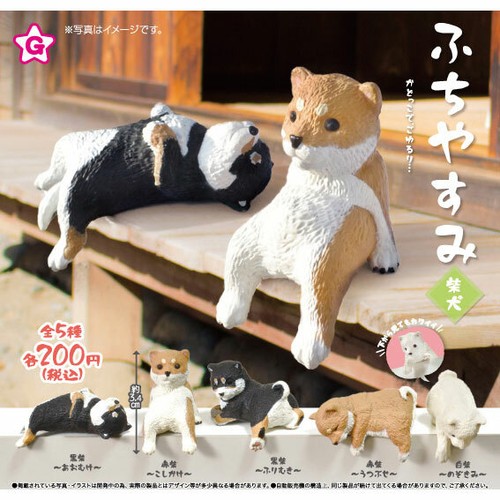 Carino shiba inu - cucciolo, cane