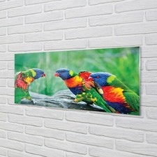 Tulup Acrylic Print 125x50