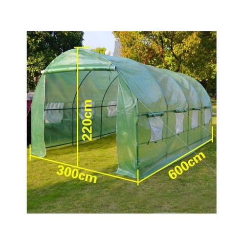 Pianta giardino trasparente - da,