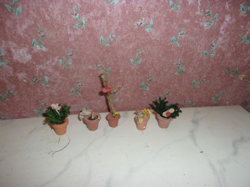 Vecchi vasi fiori anni - 5, fiori-anni