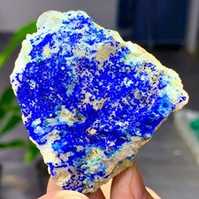 77G MIGLIORI esemplari di