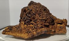Enorme paglia jack limonite - paglia,