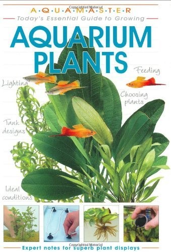 Aquarium plants aquamaster - aquarium,