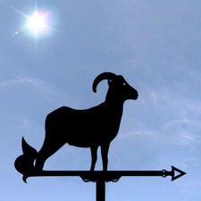 Ram Metal Weathervane, Weather