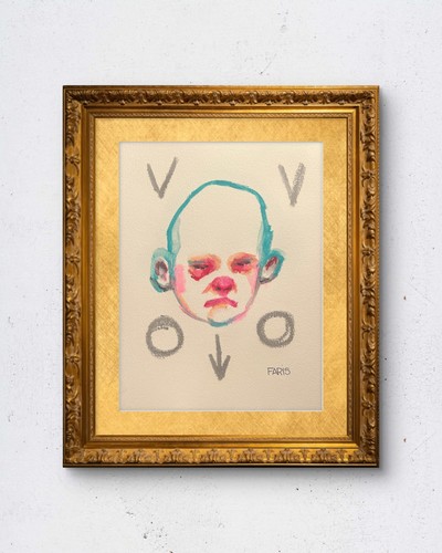 Faris art field notes - faris,