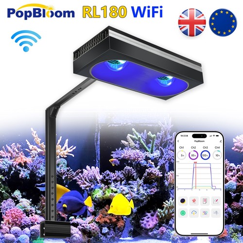 Popbloom rl180 wifi - popbloom,