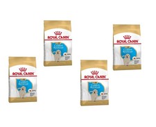 ROYAL CANIN Golden retriever