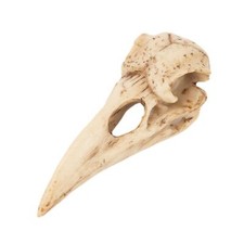 Ciondolo teschio di uccello