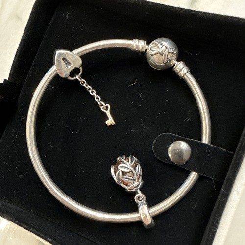 Pandora argento sterling ltd - argento,