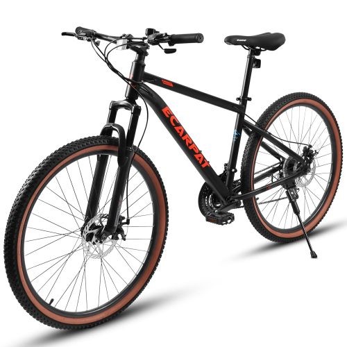 Mountain bike teenagers - 24",