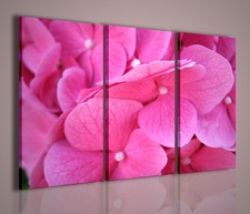 QUADRI MODERNI VIOLET FLOWER