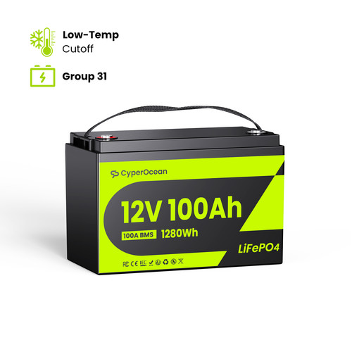 Batteria litio 12v 100ah - litio,