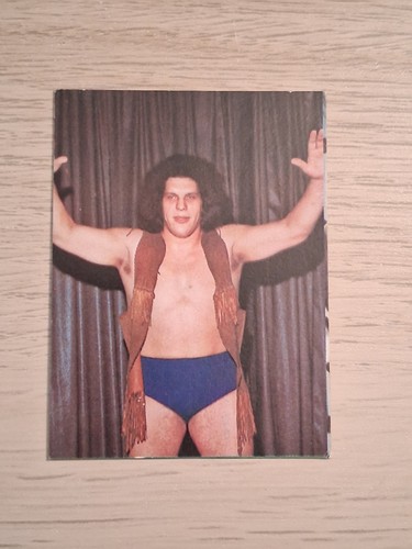 Andre the giant rookie - the,