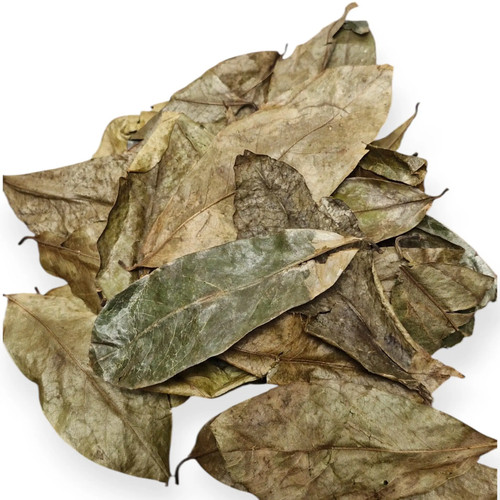 Feuille graviola séchée - de,
