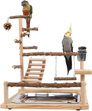 Parco Giochi per Pappagalli