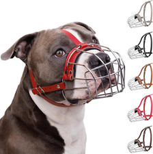 Pitbull Museruola per Cani