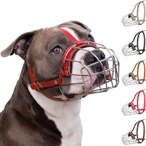 Pitbull museruola per cani - pitbull,