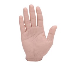 Modello di Mano Maschile in